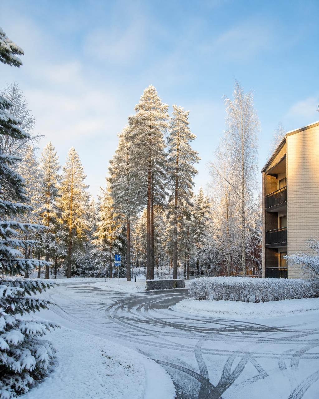 Kirkas talvipäivä Pohjois-Suomessa: luminen piha ja puita